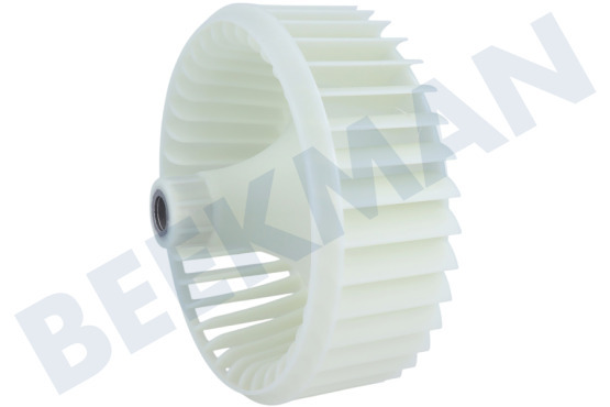 Alternative Lüfterrad vom Ventilator