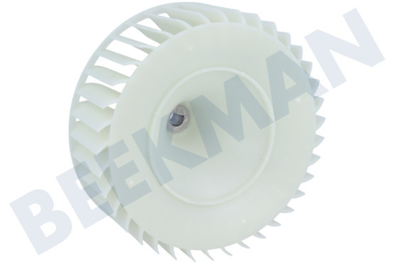 Alternative Lüfterrad vom Ventilator