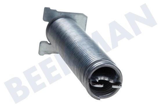 Siemens Spülmaschine 611338, 00611338 Feder für Tür