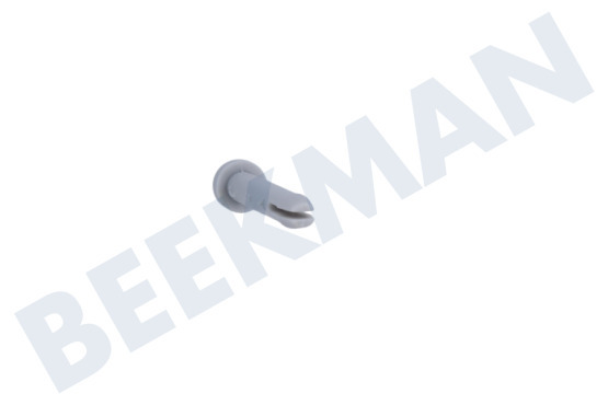Zerowatt Spülmaschine Stift der Schiene, hinten