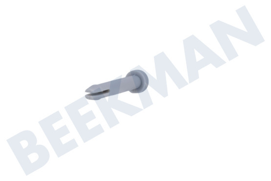 Zerowatt Spülmaschine Stift der Schiene, hinten