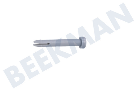 Zerowatt Spülmaschine Stift der Schiene, hinten