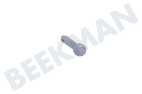 Zerowatt Spülmaschine Stift der Schiene, hinten
