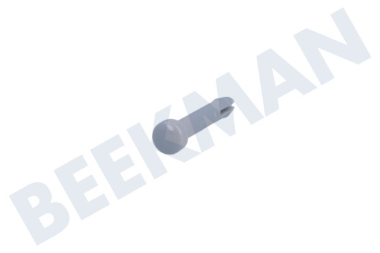 Zerowatt Spülmaschine Stift der Schiene, hinten