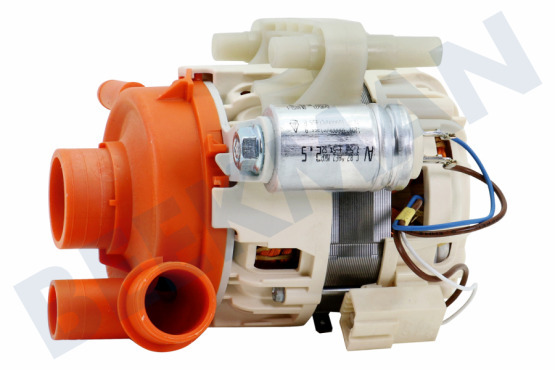 Smeg Spülmaschine Pumpe Zirkulation