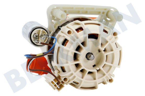 Smeg Spülmaschine Pumpe Zirkulation