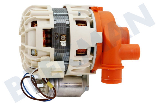 Smeg Spülmaschine Pumpe Zirkulation