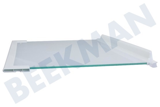 Zanussi Kühlschrank 2251639205 Glasplatte komplett