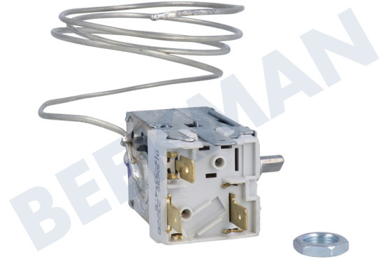Privileg Kühlschrank Thermostat Atea A130696R