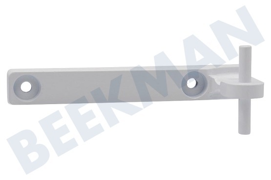 Condor Kühlschrank 00612260 Scharnier Mitte -Metall-
