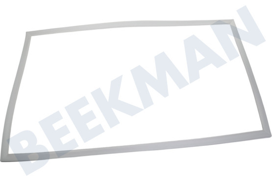 Hisense Kühlschrank Türgummi