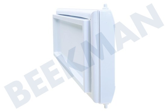 Proline Kühlschrank Gefrierfachklappe komplett