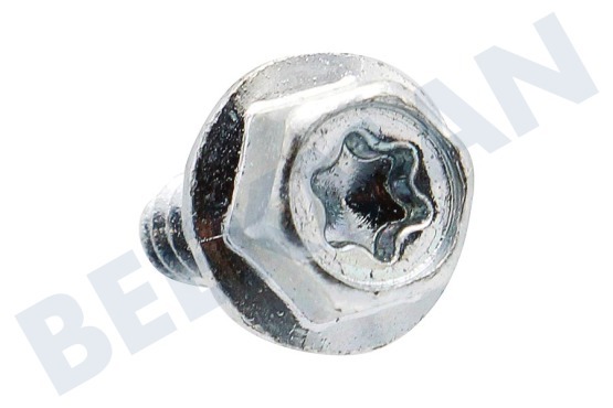 Liebherr Kühlschrank Torx-Schraube
