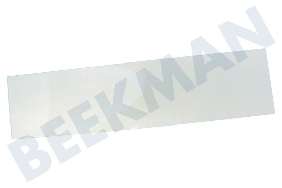 Liebherr Kühlschrank Glasplatte des Türfachs