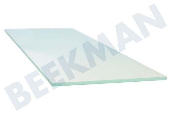 Liebherr Kühlschrank Glasplatte des Türfachs