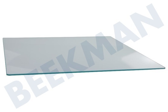 Privileg Kühlschrank 481010668655 Glaplatte