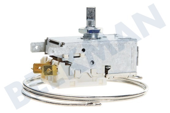 Caple Kühlschrank Thermostat K59L1942500