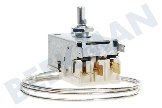 Caple Kühlschrank Thermostat K59L1942500