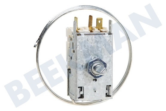 Caple Kühlschrank Thermostat K59L1942500