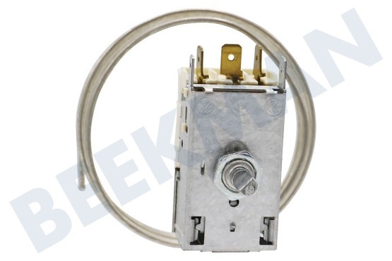 Goddess Kühlschrank Thermostat K59 L2139
