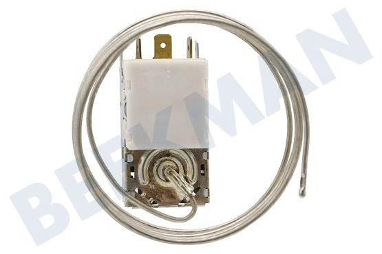 Goddess Kühlschrank Thermostat K59 L2139