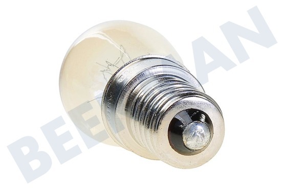 Cooke&lewis Kühlschrank Lampe 15W E14