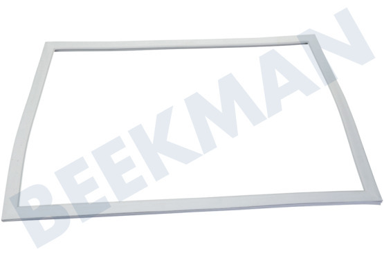 Samsung Kühlschrank DA97-19053G Dichtungsgummi Gefrierteil