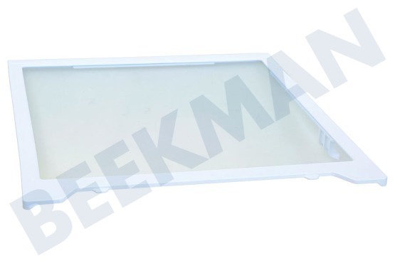 Samsung Kühlschrank DA97-16728A Glasplatte aus dem Gefrierfach