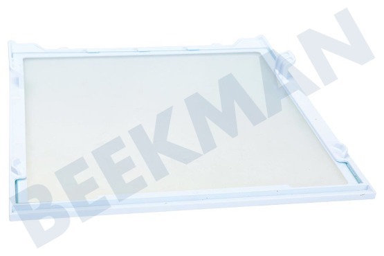 Samsung Kühlschrank DA97-16728A Glasplatte aus dem Gefrierfach