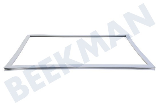 LG Kühlschrank ADX73590902 Türgummi Kühlschrank