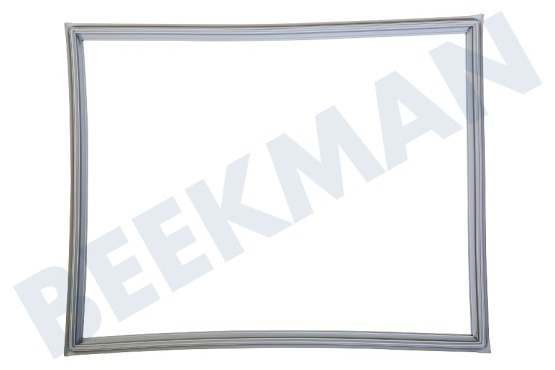 LG Kühlschrank ADX73590902 Türgummi Kühlschrank