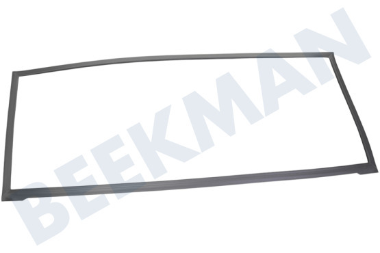Haier Kühlschrank 0060829116AK Dichtungsgummi Kühlschrank