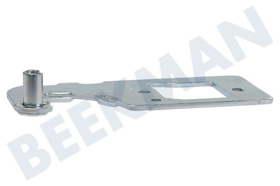 Haier Kühlschrank 0060120071A Scharnier Oben links