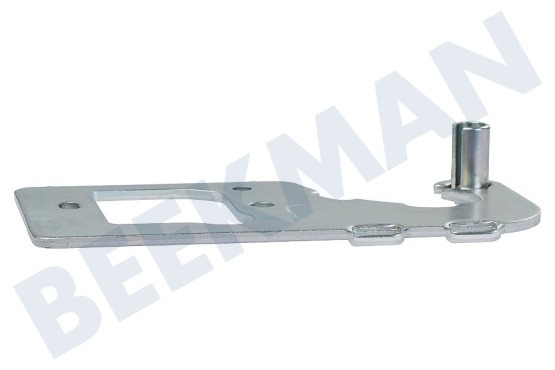 Haier Kühlschrank 0060120071A Scharnier Oben links