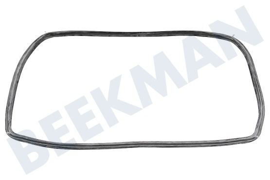Aeg electrolux Ofen-Mikrowelle 3873369007 Türdichtung, rundum