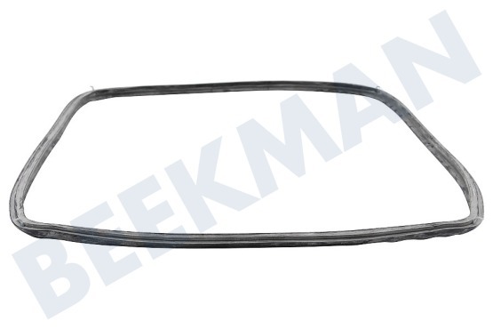 Aeg electrolux Ofen-Mikrowelle 3873369007 Türdichtung, rundum