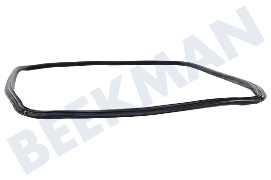 Whirlpool Ofen-Mikrowelle C00725238 Türdichtung, rundum