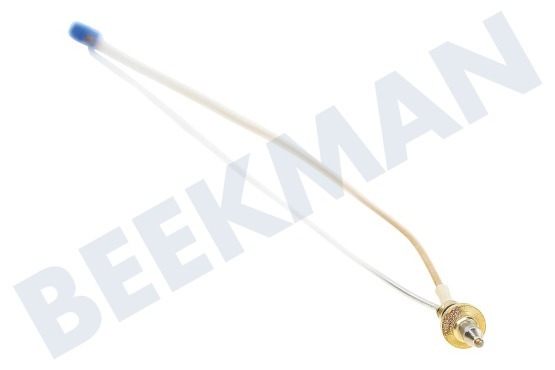 Ikea Herd Thermoelement Doppelt