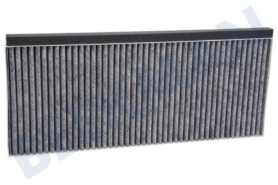 Bosch Abzugshaube 17006837 Kohlefilter