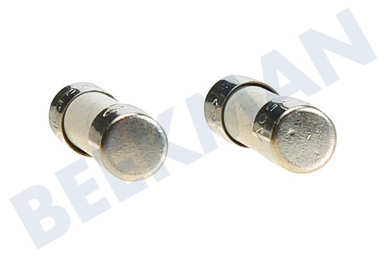 Beltratto Ofen-Mikrowelle 612920, 00612920 Sicherung 8A 250V
