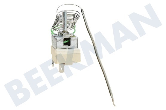 Siera Herd Thermostat Fühler (Stift) 2 Kontakte