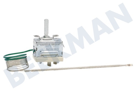 Altus Herd Thermostat Stiftsonde 2 Kontakte