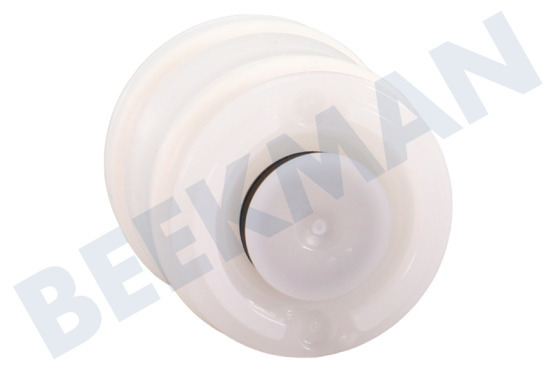 Rowenta Kaffeemaschine MS-5370778 Kolben