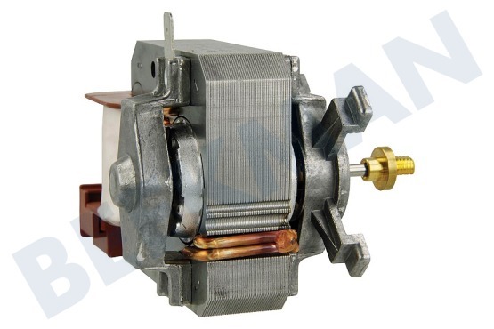 Smeg Ofen-Mikrowelle Motor des Heißluftventilators