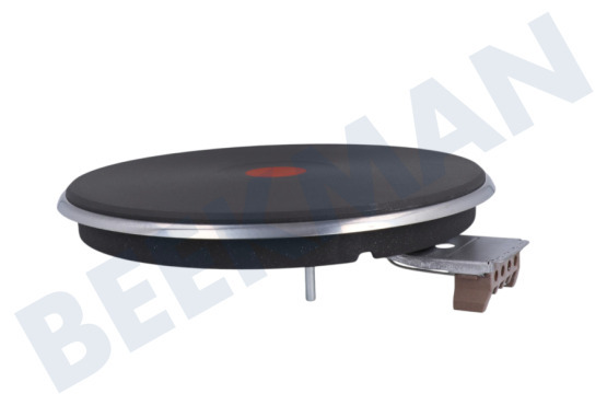 Kic Herd Kochplatte 2000 Watt, 4 mm Kante, EGO