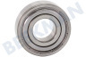 Polar Waschmaschine Lager 6203 ZZ 17 x 40 x 12 mm