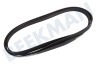 Protech Waschmaschine Keilrippenriemen 1922 PHE H8 TEM
