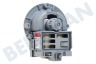 Universell Waschmaschine Pumpe Magnet -Askoll-
