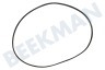 Curtiss Waschmaschine Keilrippenriemen 5PJE 1199