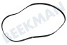 Arthur martin Trockner Keilrippenriemen 1184 PJE J6